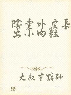 阴囊外皮长个突出小肉粒封面