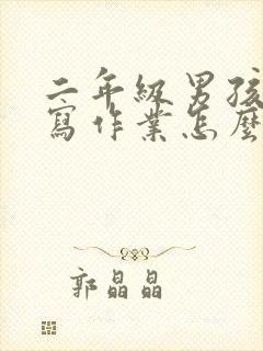 二年级男孩不爱写作业怎么办封面