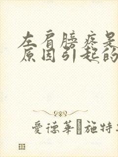 左肩膀疼是什么原因引起的封面