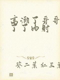 高潮了哥哥受不了了内射