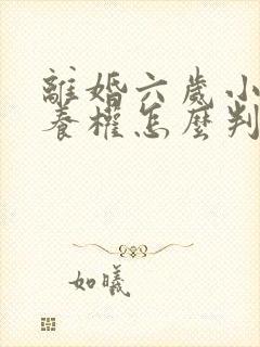 离婚六岁小孩抚养权怎么判