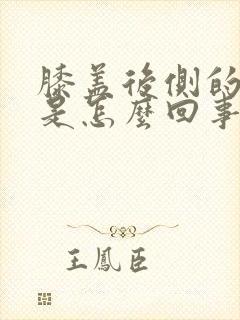 膝盖后侧的筋疼是怎么回事封面