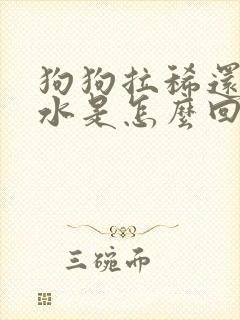 狗狗拉稀还吐黄水是怎么回事