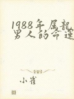 1988年属龙男人的命运