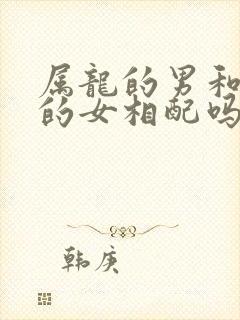 属龙的男和属鼠的女相配吗