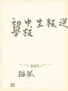 初中生叛逆封闭学校