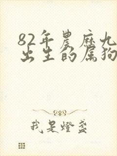 82年农历九月出生的属狗女命运