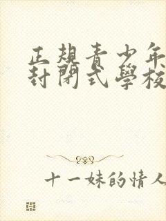 正规青少年叛逆封闭式学校封面