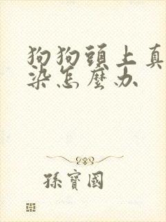 狗狗头上真菌感染怎么办