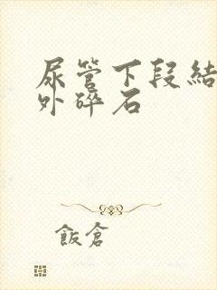 尿管下段结石体外碎石