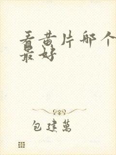 看黄片哪个软件最好