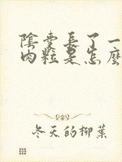 阴囊长了一个肉肉粒是怎么回事