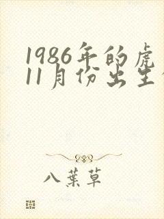 1986年的虎11月份出生的命运