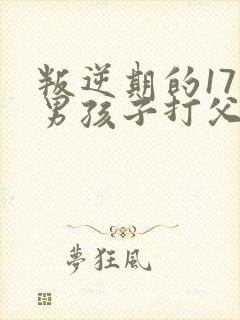 叛逆期的17岁男孩子打父母怎么办封面