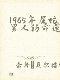 1965年属蛇男人的命运是什么
