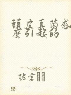 头皮真菌感染怎么引起的