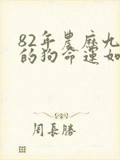 82年农历九月的狗命运如何