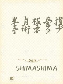 半月板受损做个手术要多少钱