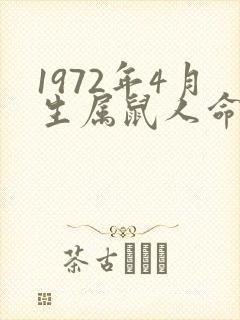 1972年4月生属鼠人命运