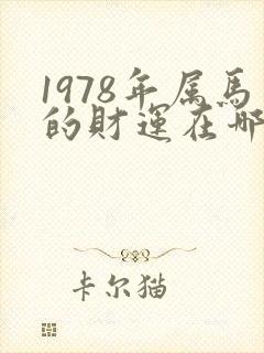 1978年属马的财运在哪个方向封面