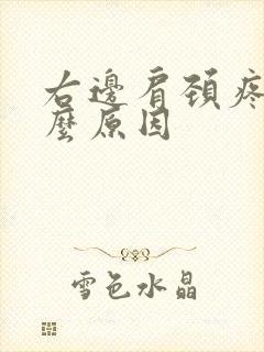 右边肩颈疼痛什么原因