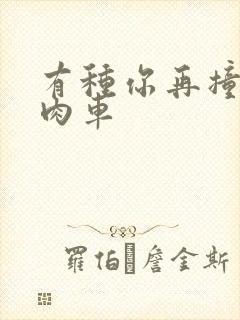 有种你再撞一下肉车