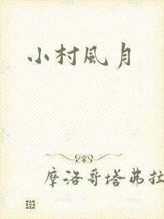 小村风月封面