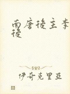 南唐后主李煜皇后封面