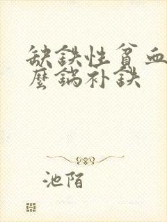 缺铁性贫血用什么锅补铁封面