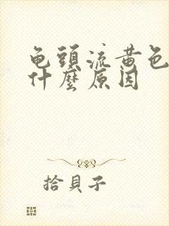 龟头流黄色脓是什么原因