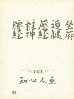 腰椎压迫坐骨神经神经腿麻疼怎么办