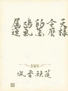 属鸡的今天打牌运气怎么样封面