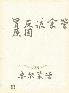 胃反流食管炎的原因