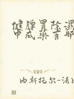 健脾胃除湿气的中成药有哪些