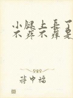 小腿上长了疙瘩不疼不痒是怎么回事