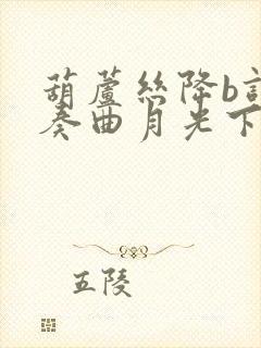 葫芦丝降b调伴奏曲月光下的凤尾竹mp3