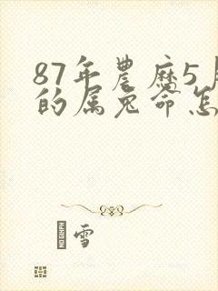 87年农历5月的属兔命怎样封面