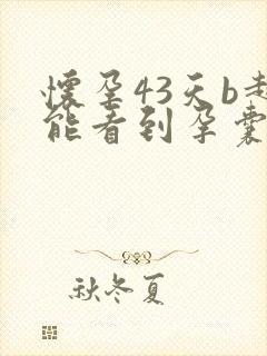 怀孕43天b超能看到孕囊吗