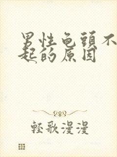 男性龟头不能勃起的原因