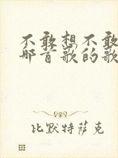 不敢想不敢问是哪首歌的歌词