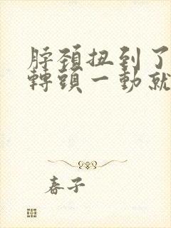 脖颈扭到了不能转头一动就痛该怎么办