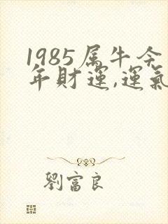 1985属牛今年财运,运气如何