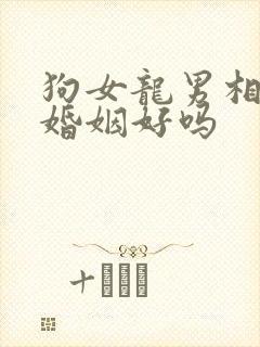 狗女龙男相配的婚姻好吗封面