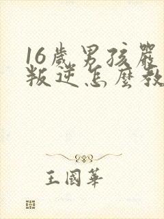 16岁男孩严重叛逆怎么教育