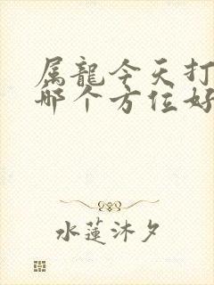 属龙今天打牌坐哪个方位好