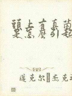 头上有真菌感染是怎么引起的