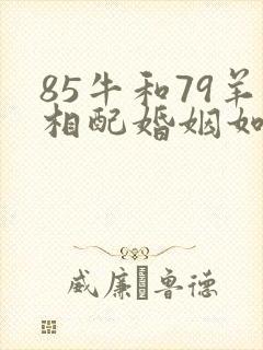 85牛和79羊相配婚姻如何