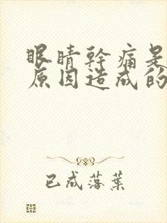 眼睛干痛是什么原因造成的