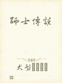 师士传说封面