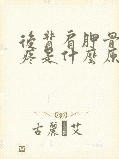 后背肩胛骨中间疼是什么原因引起的